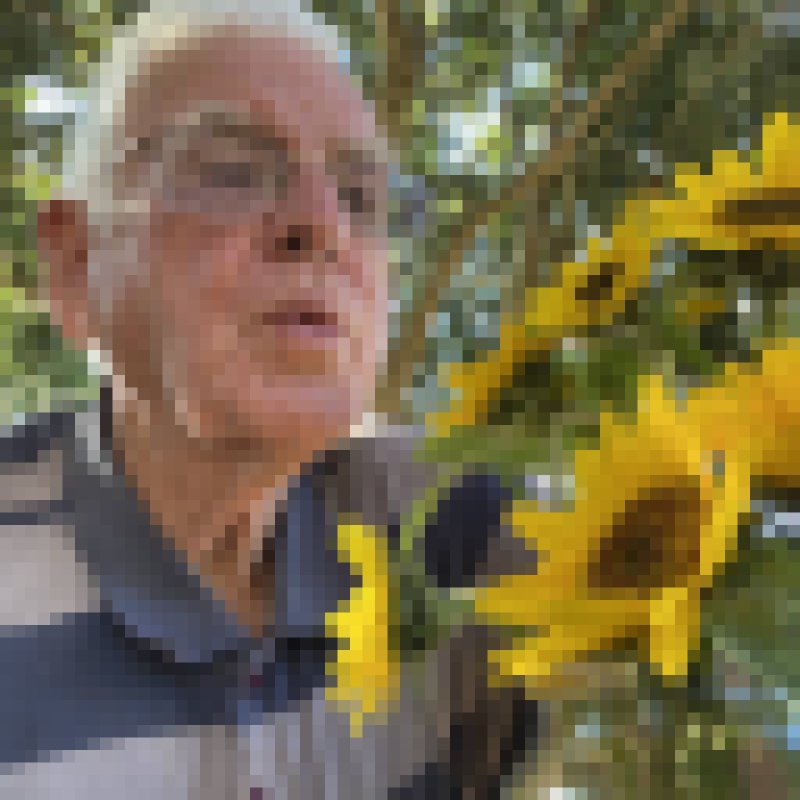 Peter22569 dating
