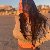 Brittany, 32, India