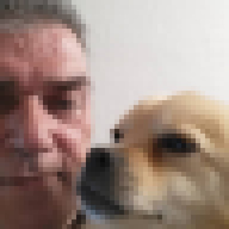 Peter, 61, Dennis
