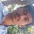 Krishan, 56, United States