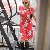 Avyanna, 35, Kendrapara