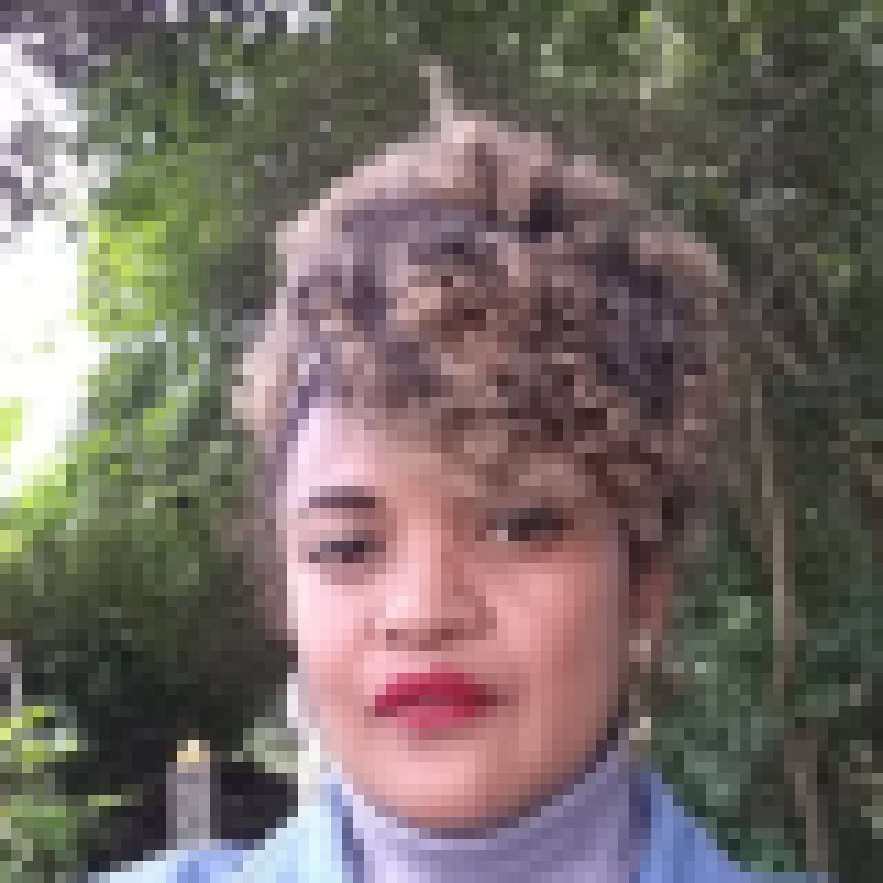 Layla Salama, 48, Viet Nam