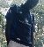 Wayne, 21, Benemrito