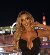 Sophia love, 33, Gambia