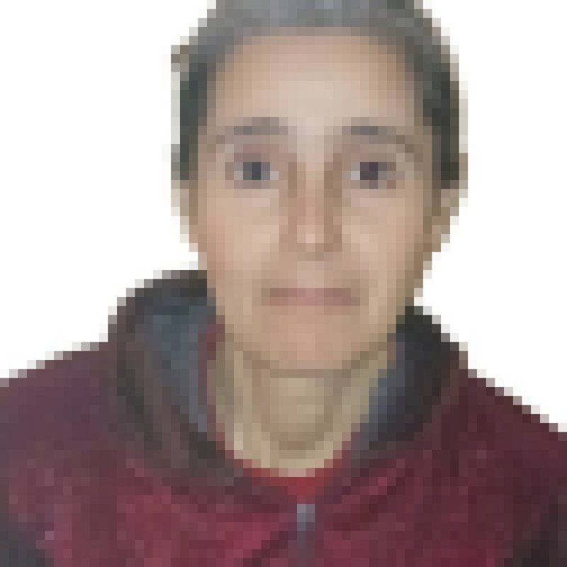 fatiha daoudi, 47, Ulsan