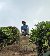 Shaah, 20, Haa