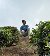 Shaah, 20, Australia