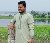 towhidul islam, 32, Netherlands