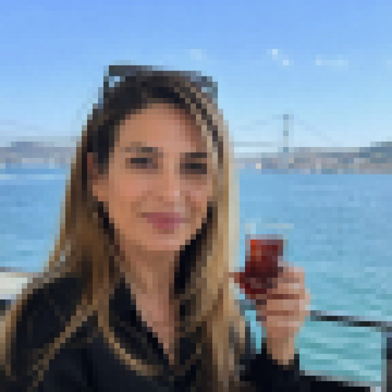 Selin, 35, Pakistan