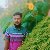 Arif khan, 25, Cehegn