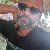 Shohag, 35, Banas Kantha