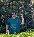 DwayneGazz, 53, Panorama