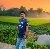 Samir, 27, Mareeba