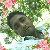 Sahidul Islam, 35, Armenia