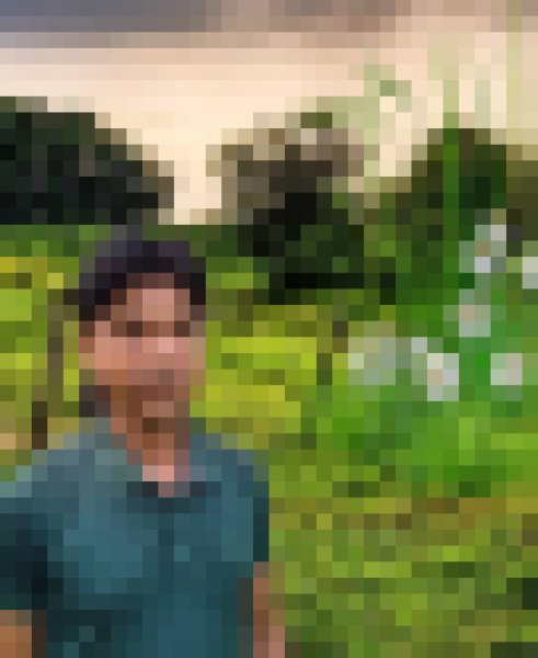 Juwel, 35, Albinea