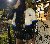 Jeff, 26, La Vega