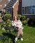 Holz, 51, Barra Do Dande
