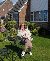 Holz, 51, Jharka