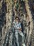 Riyad, 22, Schio