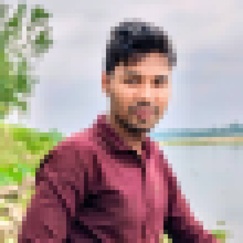 Rocky, 20, Traversetolo