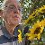 Peter, 67, Mungaoli