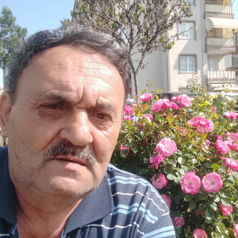 https://saymehi.com dating Mustafa41 in Turkey