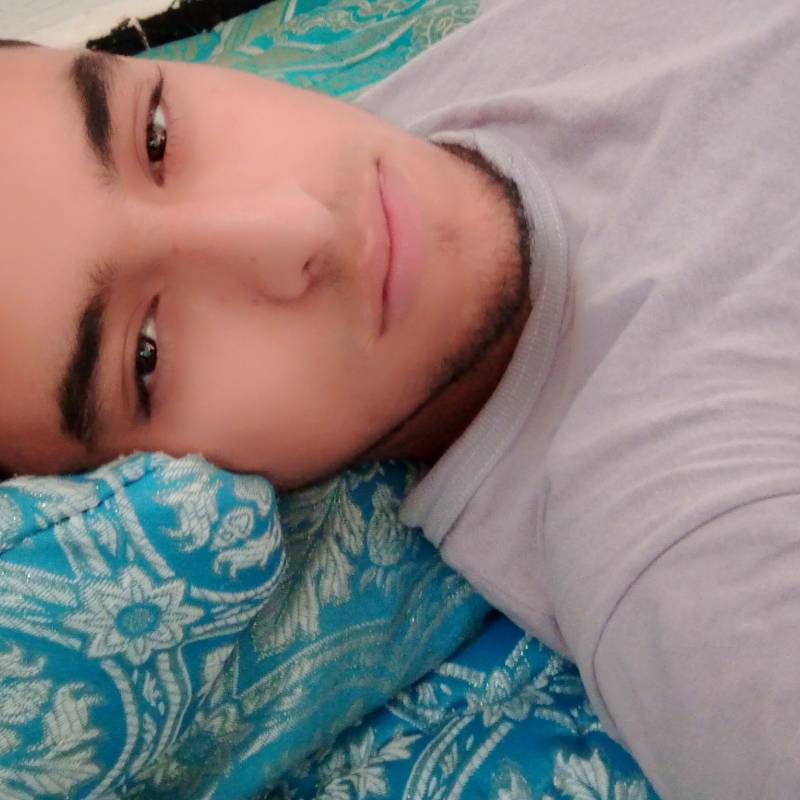 Soum Ani